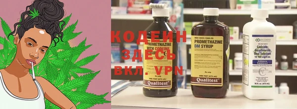 индика Козельск